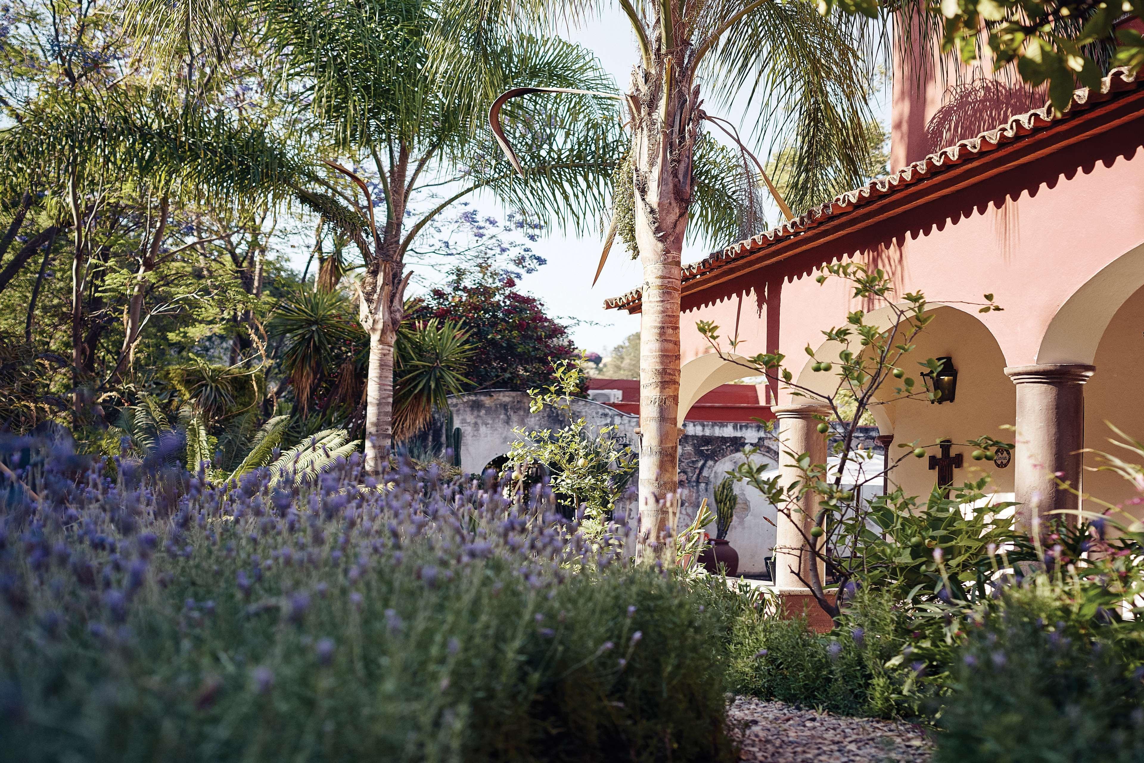 Casa De Sierra Nevada, A Belmond Hotel, Σαν Μιγκέλ ντε Αγιέντε Εξωτερικό φωτογραφία